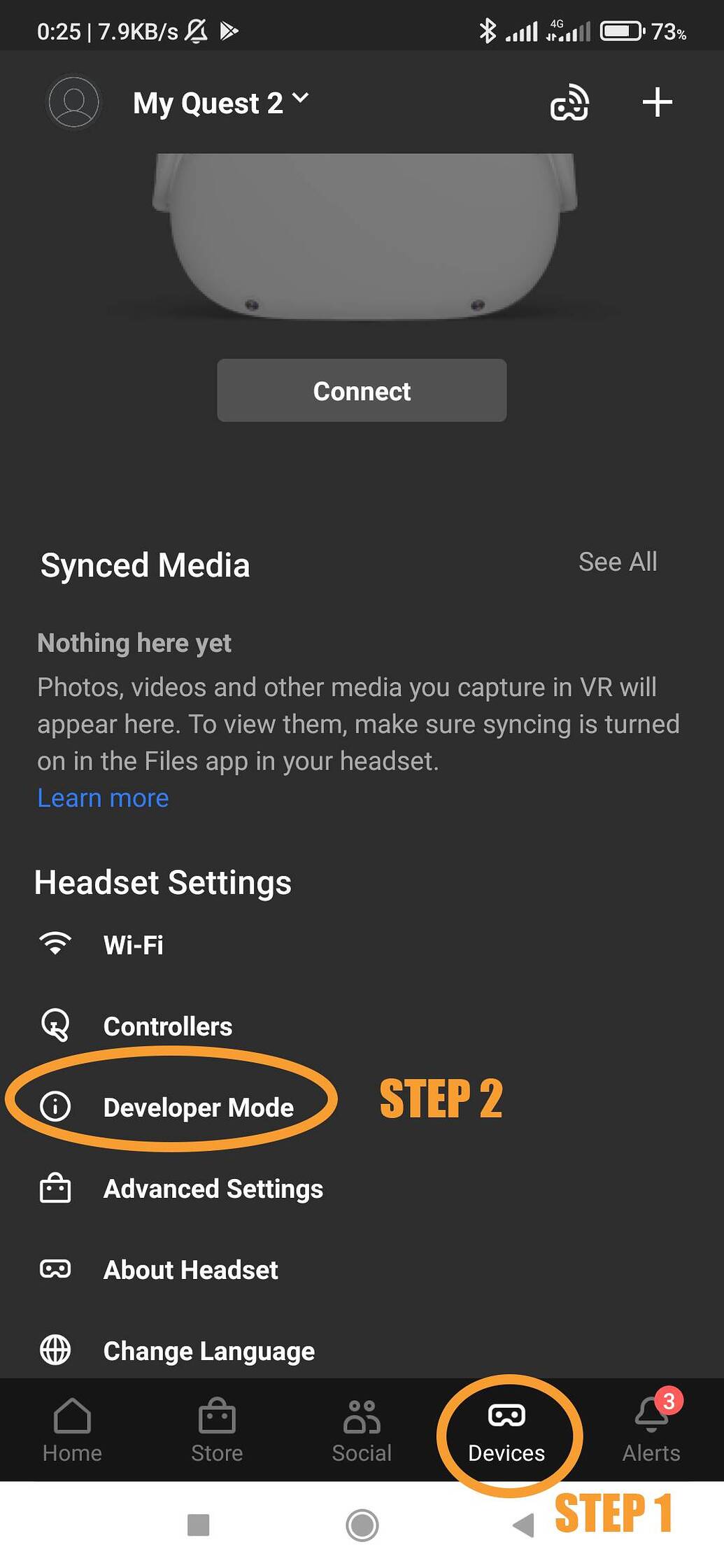 Enabling developer mode